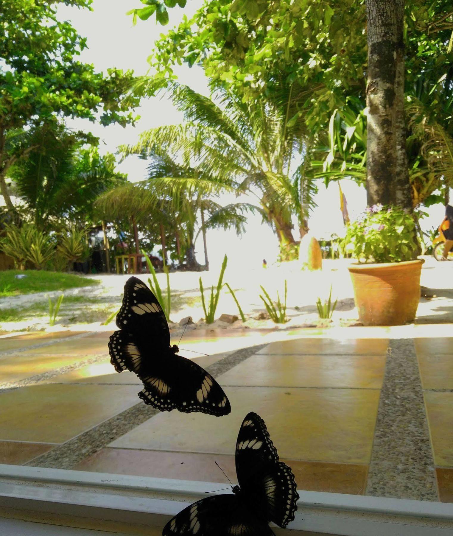 Aissatou Beach Resort Balabag  Bagian luar foto